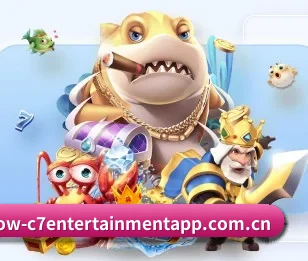 五大服务分区,信息按项目分类 - 多运动项目内容板块